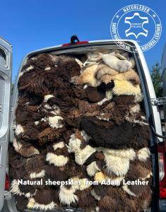 Fårskinn - Affärsresa till Nederländerna med våra naturliga fårskinn!