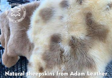 Fårskinn - Stracciatella fårskinn från Adam Leather